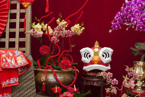 虹越黑五2019年宵花禮5折預(yù)售 與家人動(dòng)手過(guò)新年，禮品花卉溫暖冬日